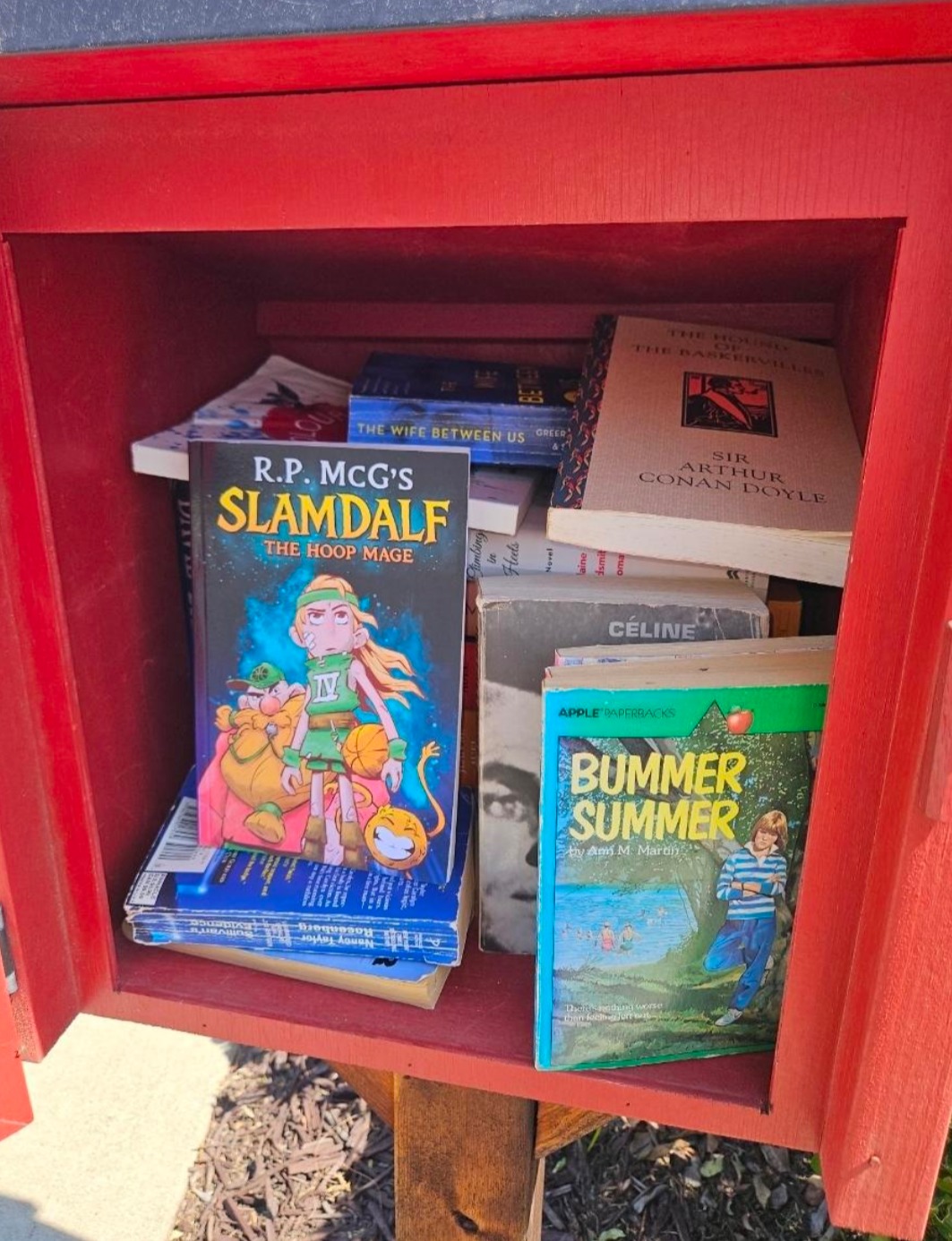 Little Free Library